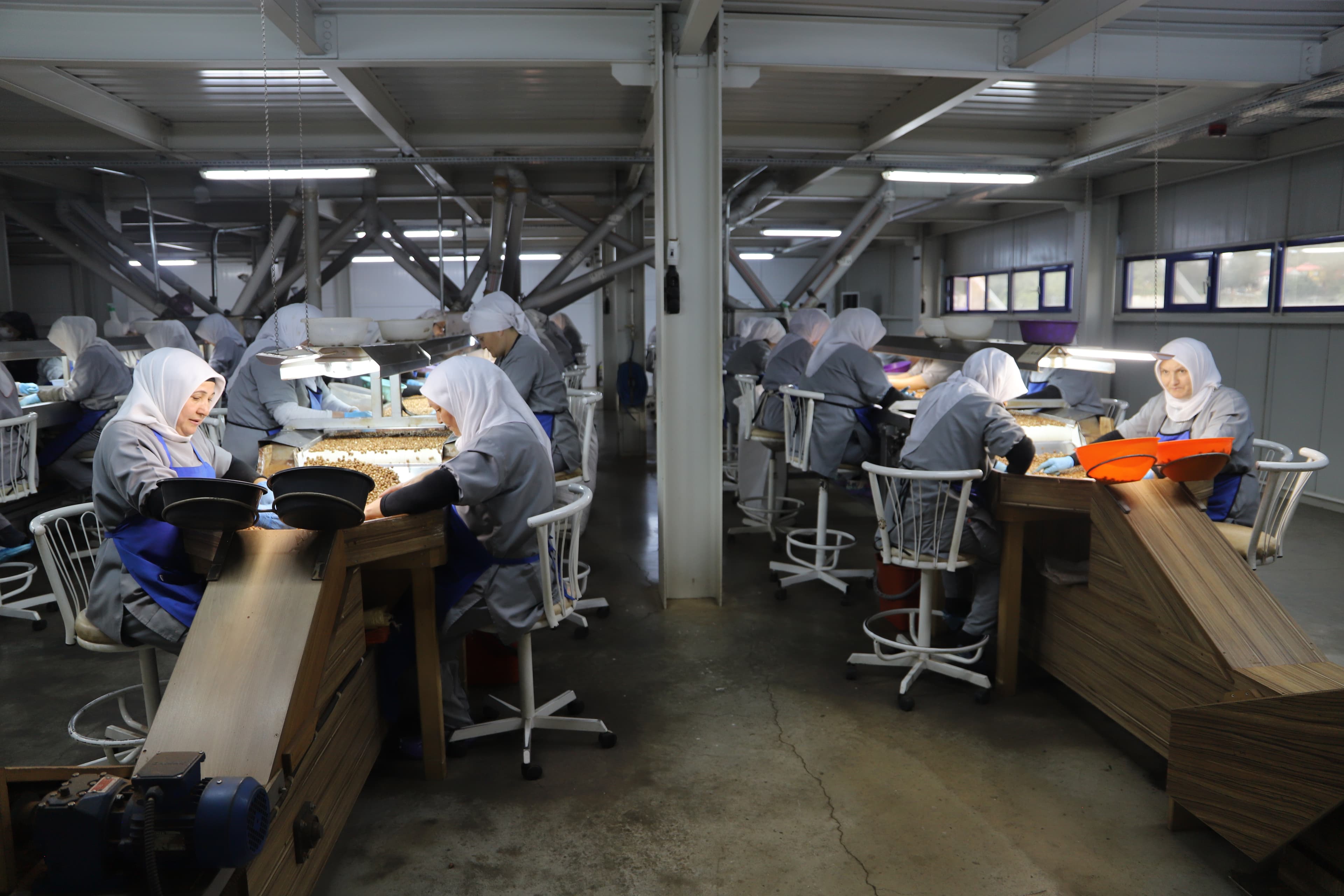 Koralla fabrika