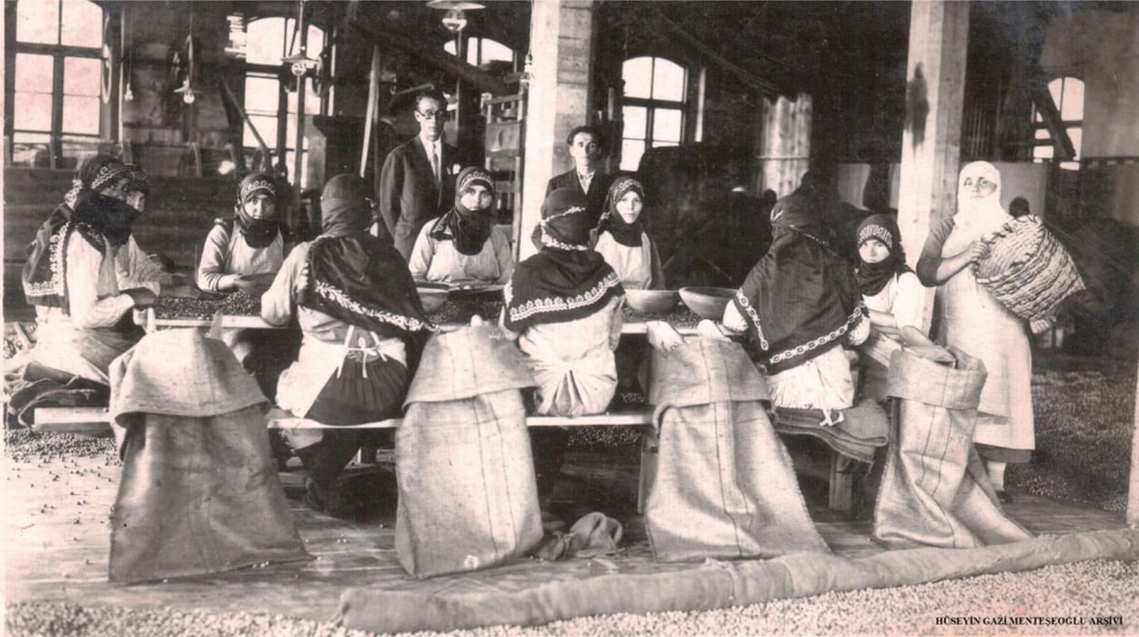 Koralla miras — fındık ve tarihçe
